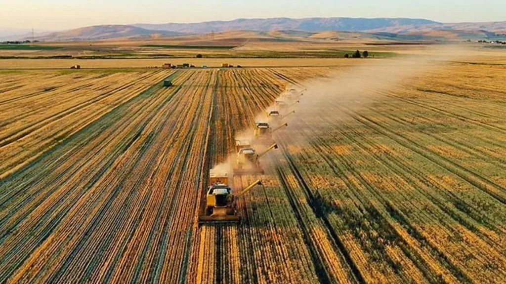 Tarım ve Gıda Sektöründen Gelişmeler: Yeni Politikalar