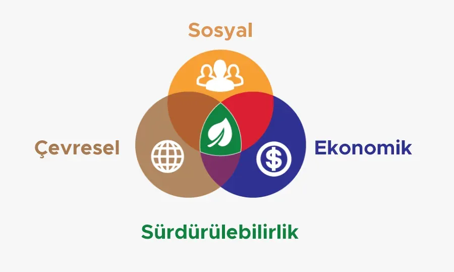 Sürdürülebilir Ekonomi ve Sosyal Sorumluluk: Büyümeyi Dengede Tutmak