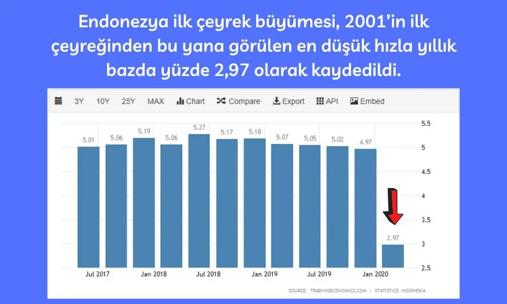 Dijital Dönemde Endonezya Ekonomisi: Fırsatlar ve Zorluklar