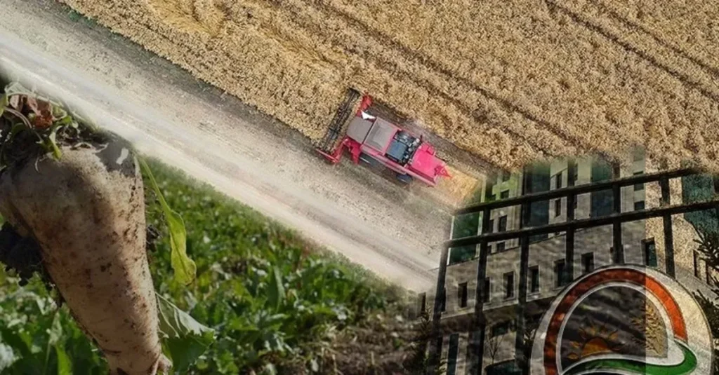 Son Dakika Tarım: Ürünler ve Güncellemeler Hakkında Bilgiler