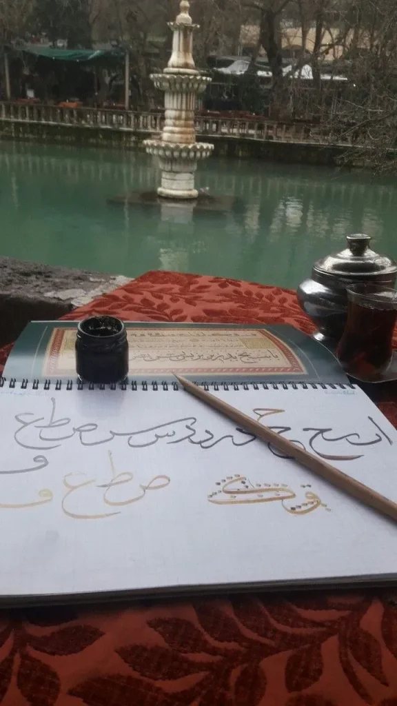 Sanat Eğitimi Kaynakları: Kurslar ve Kitaplar Rehberi