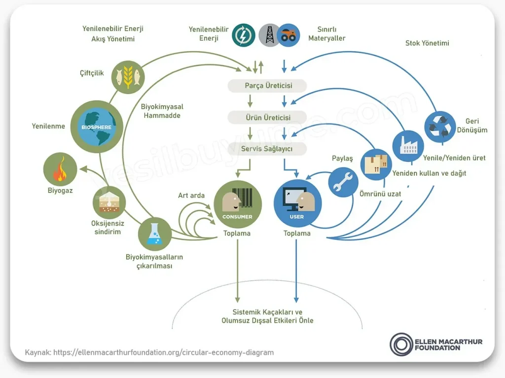Sürdürülebilir Ekonomi: Büyüme, Adalet ve Çevre İçin Yenilik