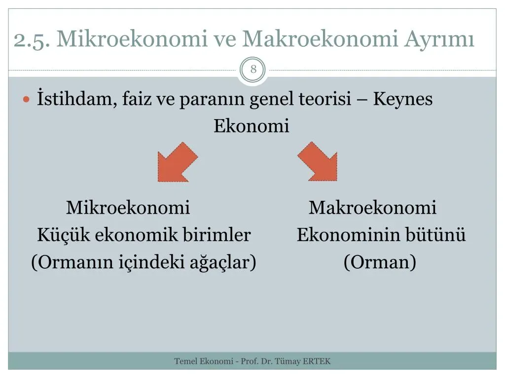 Mikroekonomi ve Makroekonomi: Farklar ve Neden Önemlidir