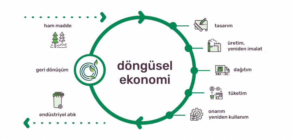 Döngüsel Ekonomi: Konsept, Faydalar ve Pratik Örnekler